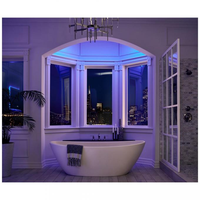 LED คนขับรถ application example 3