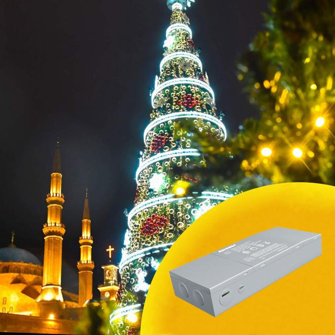 LED คนขับรถ packaging process